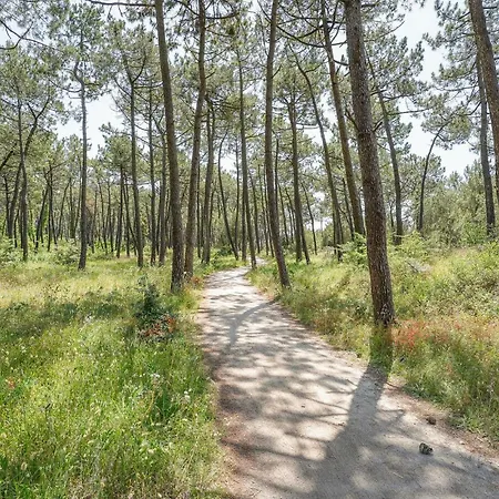 Cozy In בית נופש