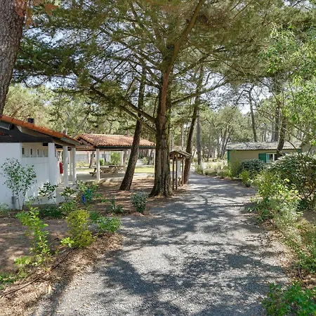 Cozy In בית נופש