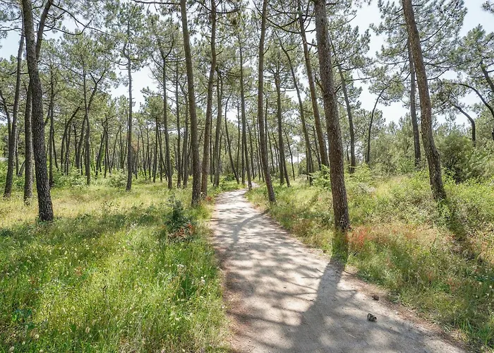 Cozy In Casa vacanze